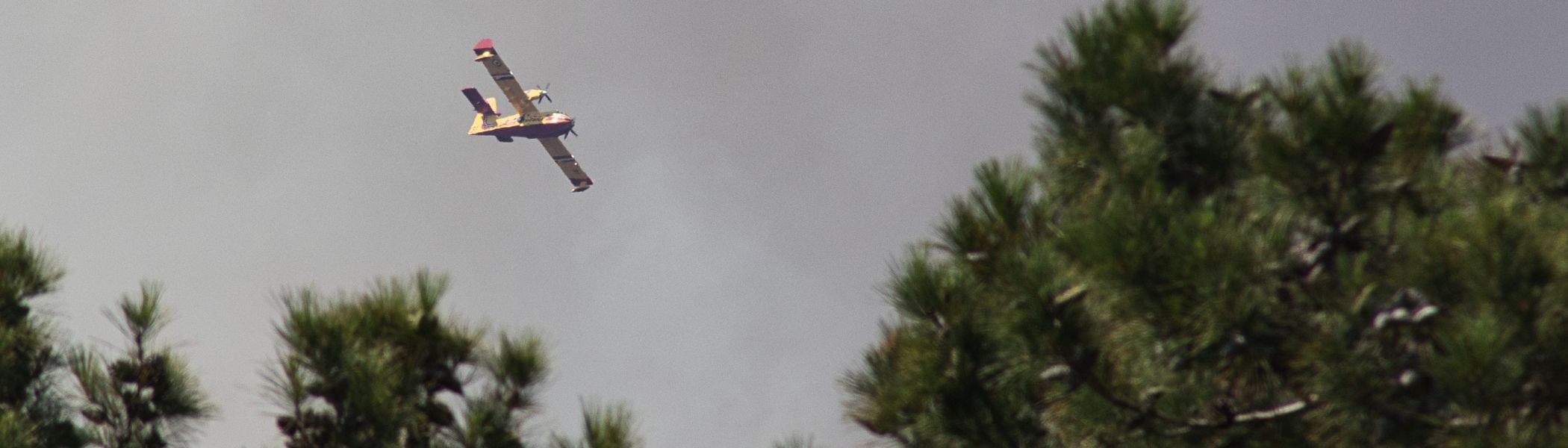 Incendies et feux de forêt